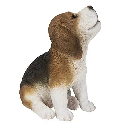 【並行輸入品】 ビーグル子犬のハウリング。