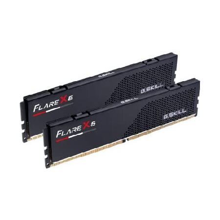 【並行輸入品】 G.SKILL F5-6000J3636F16GX2-FX5 (DDR5 PC5-4...