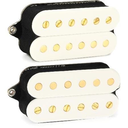 【並行輸入品】 Fishman Fluence シグネチャーシリーズ Scott LePage 6弦...