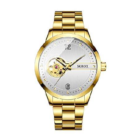 【並行輸入品】 FORSINING Mens Mechanical Tourbillon Watch...