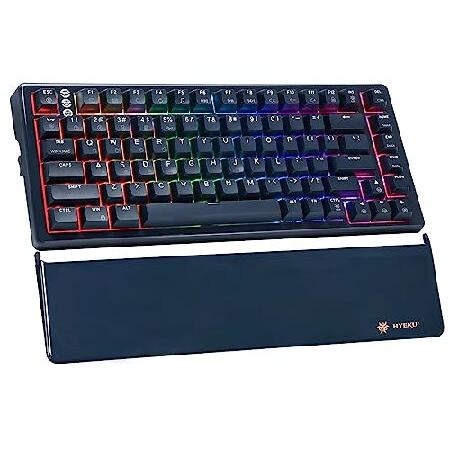 Hexgears E2 Three-Mode Mechanical Keyboard, RGB Ba...