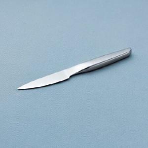 HAST Paring Knife Ultra-sharp 3.5-inch Professional Paring knife Japanese Carbon Steel Sleek Design Ergonomic Lightweight Minimalist Kitchen Deの商品画像