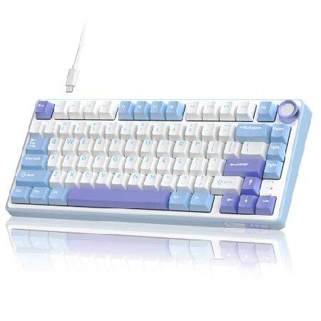 【並行輸入品】 RK ROYAL KLUDGE R75 Mechanical Keyboard Wi...