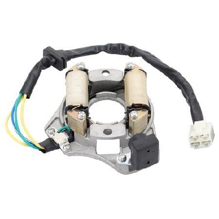 【並行輸入品】 WOOSTAR 2 Coil 4 Wire Ignition Full Wave S...