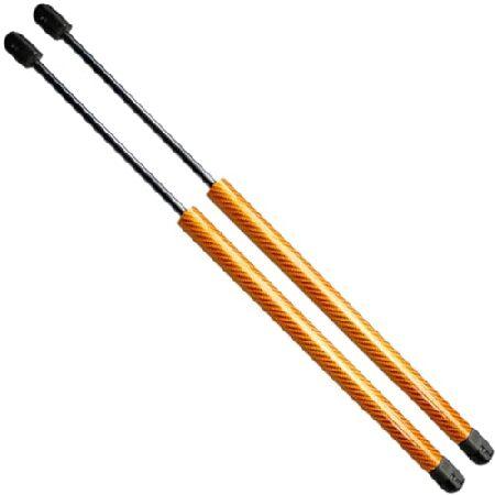 【並行輸入品】 TENKIDOM Carbon Fiber Hood Struts Compatib...