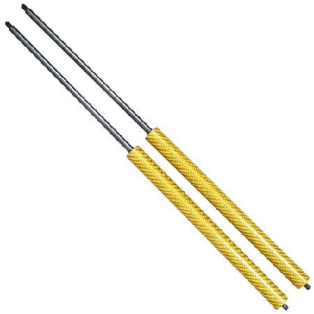 【並行輸入品】 TENKIDOM Carbon Fiber Hood Struts Compatib...