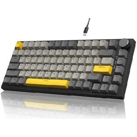 【並行輸入品】 Attack Shark ajazz AK820 75% Wired Mechani...