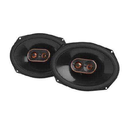 【並行輸入品】 インフィニティリファレンス 697MF - 6インチ x 9インチ 3ウェイカースピ...