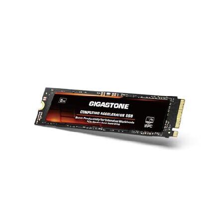 【並行輸入品】 Gigastone HPC Computing M.2 SSD 2TB PCIe 4...