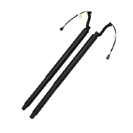 【並行輸入品】 X AUTOHAUX リア左右テールゲートパワーリフトサポート 日産ムラーノプラチナ...