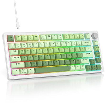 【並行輸入品】 SbocKeeb カスタム 75% クリーミーサウンド グリーン メカニカル ゲーミ...