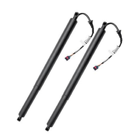 【並行輸入品】 パワーリフトサポートショックストラット1組 ヒュンダイサンタフェ 2019-2020...
