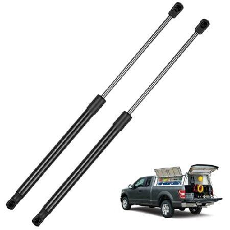 【並行輸入品】 BDFHYK SE180P80 18 Inch 80 Lbs Truck Campe...