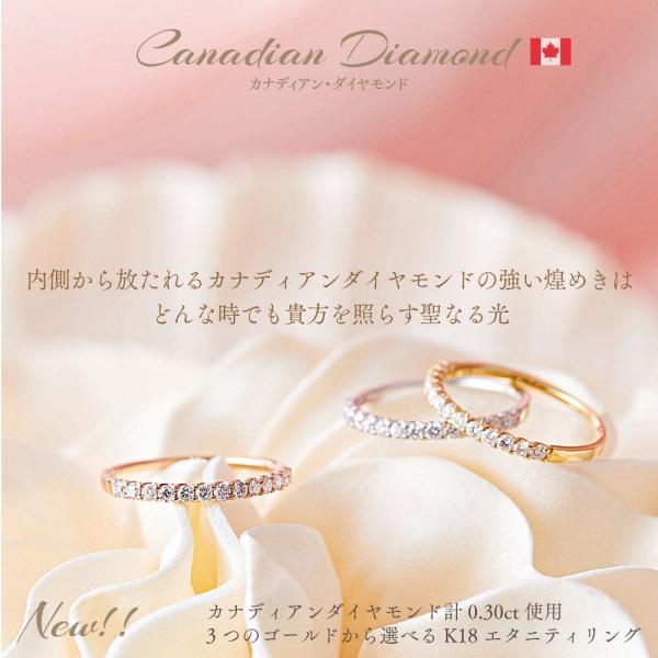 【10%OFFクーポン有！5/8〜12】カナディアンダイヤモンド エタニティリング 計0.30ct ...