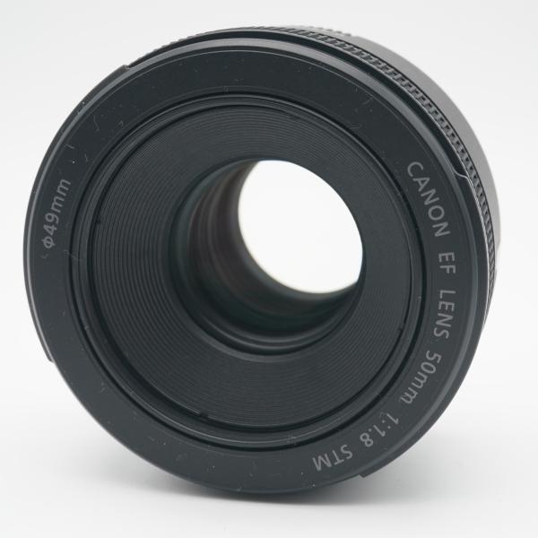 ほぼ新品 Canon EF 50mm F1.8 STM 別売レンズフード付！ キヤノン