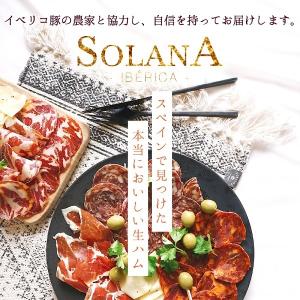 ポイント消化 訳あり イベリコ豚生ハム ハモン...の詳細画像1