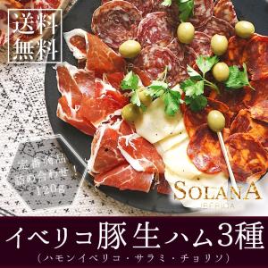 ポイント消化 イベリコ豚 特選おつまみ 24ヶ月...の商品画像