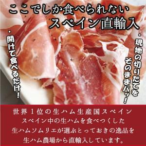 ポイント消化 イベリコ豚 特選おつまみ 24ヶ...の詳細画像1