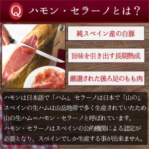 ポイント消化 送料無料 おつまみ 『スペイン産...の詳細画像5