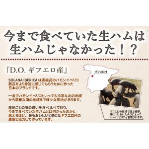 ポイント消化 特選スペイン産 おつまみ食べ比べ...の詳細画像4