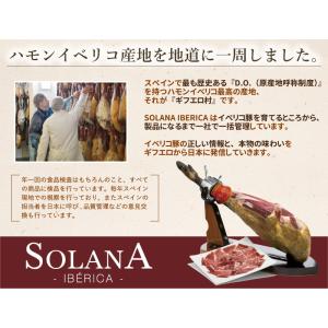 ポイント消化 特選スペイン産 おつまみ食べ比べ...の詳細画像5