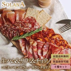 ポイント消化  おつまみ 『イベリコ豚 スペイン産 生ハム＆サラミ詰め合わせセット