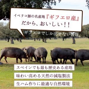 ポイント消化 送料無料 おつまみ 『イベリコ豚...の詳細画像5