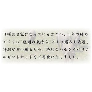 王室献上品 純血統イベリコ豚4年熟成 ギフト用...の詳細画像2