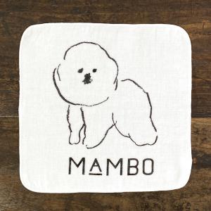 Claska Mambo レディースハンカチ チーフ の商品一覧 財布 帽子 ファッション小物 ファッション 通販 Yahoo ショッピング