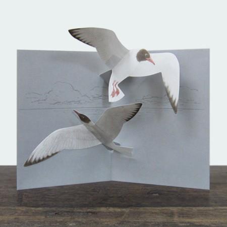 トビダストリー　ユリカモメ