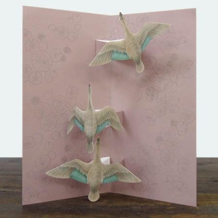 トビダストリー　カルガモ