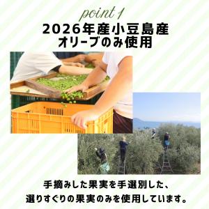 【10/10頃よりお届け】オリーブ果実の新漬 ...の詳細画像1