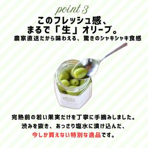 【10/10頃よりお届け】オリーブ果実の新漬 ...の詳細画像3