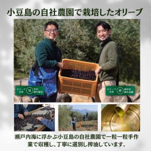 美容液 ジ・オリーヴ オイル M 小豆島産 3...の詳細画像4
