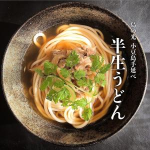島の光 小豆島手延べ 半生うどん 200g(2...の詳細画像2