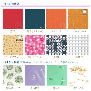 食いしん坊 しその実わかめ 160g 宝食品 ...の詳細画像5