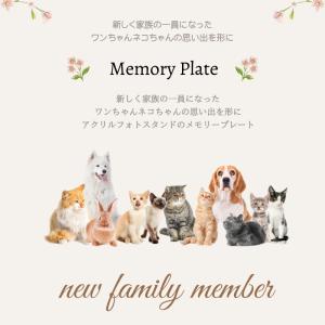 名入れ 無料 フォト スタンド アクリル ポス...の詳細画像1