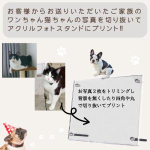 名入れ 無料 フォト スタンド アクリル ポス...の詳細画像2