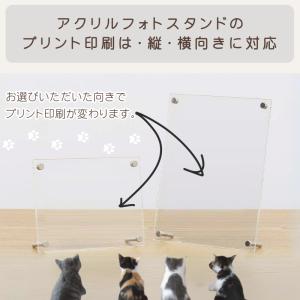 名入れ 無料 フォト スタンド アクリル ポス...の詳細画像3