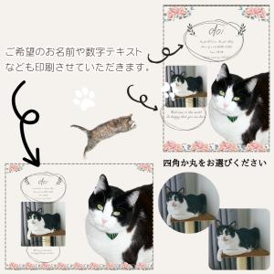 名入れ 無料 フォト スタンド アクリル ポス...の詳細画像5