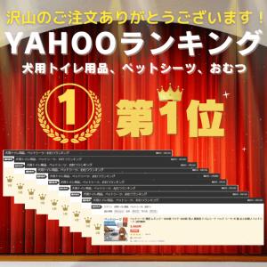 ペットシーツ 薄型 レギュラー ワイド スーパ...の詳細画像1