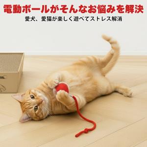 犬 おもちゃ 猫 おもちゃ 自動 電動ボール ...の詳細画像2