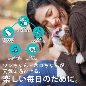 知育玩具 犬 猫 犬おもちゃ ペット 知育おも...の詳細画像3