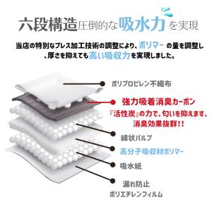 ペットシーツ 炭入り 厚型 ワイド レギュラー...の詳細画像2
