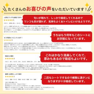 ペットシーツ 炭入り 厚型 ワイド レギュラー...の詳細画像2