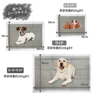 ペットシーツ 炭入り 厚型 ワイド レギュラー...の詳細画像3
