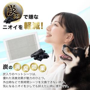 ペットシーツ 炭入り 厚型 ワイド レギュラー...の詳細画像4