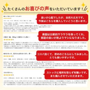 ペットシーツ 厚型 ペットシート ワイド 20...の詳細画像3