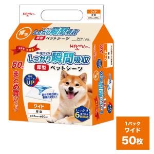 ペットシーツ 厚型 ワイド 50枚 1袋 ペットシート お試し パック ペット用シーツ 犬 トイレシート トイレシート 猫 トイレ シーツ 1パック 送料無料