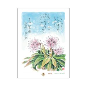 星野富弘 31枚の詩画 日めくり どうしても必...の詳細画像1